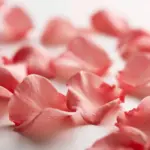 Rose, Magnolia, Benzoin